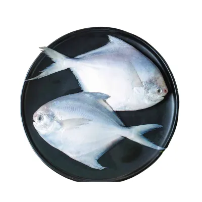 Pomphret 1 KG
